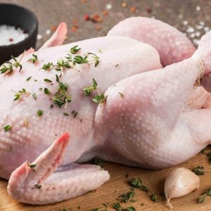 سردخانه مرغ