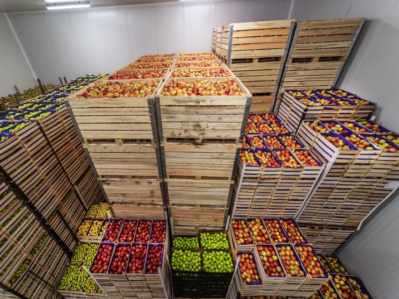 سردخانه موادغذایی