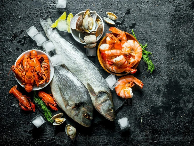 سردخانه ماهی و میگو