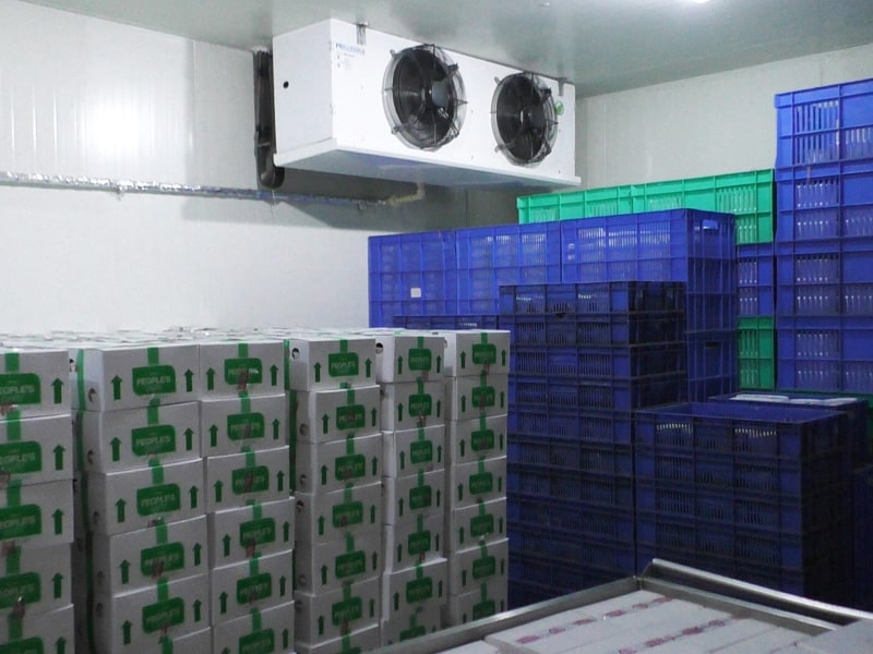 سردخانه بستنی